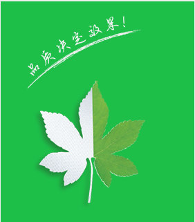 s100可吸收性功能材料