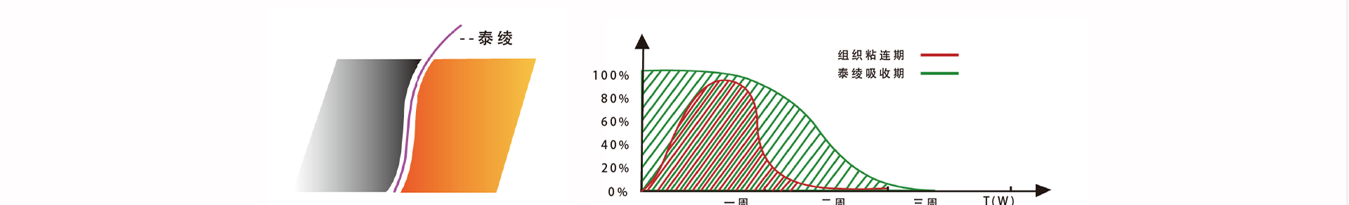 5c15e7a73c53f.png