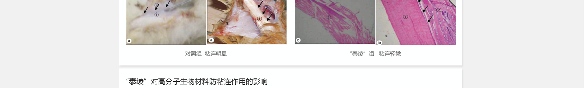 5c15e7a955c5a.png