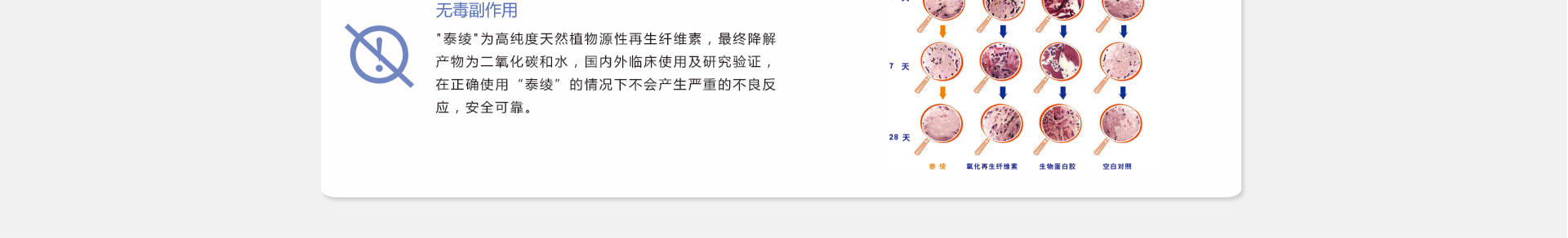 5c15e7abc9e39.png